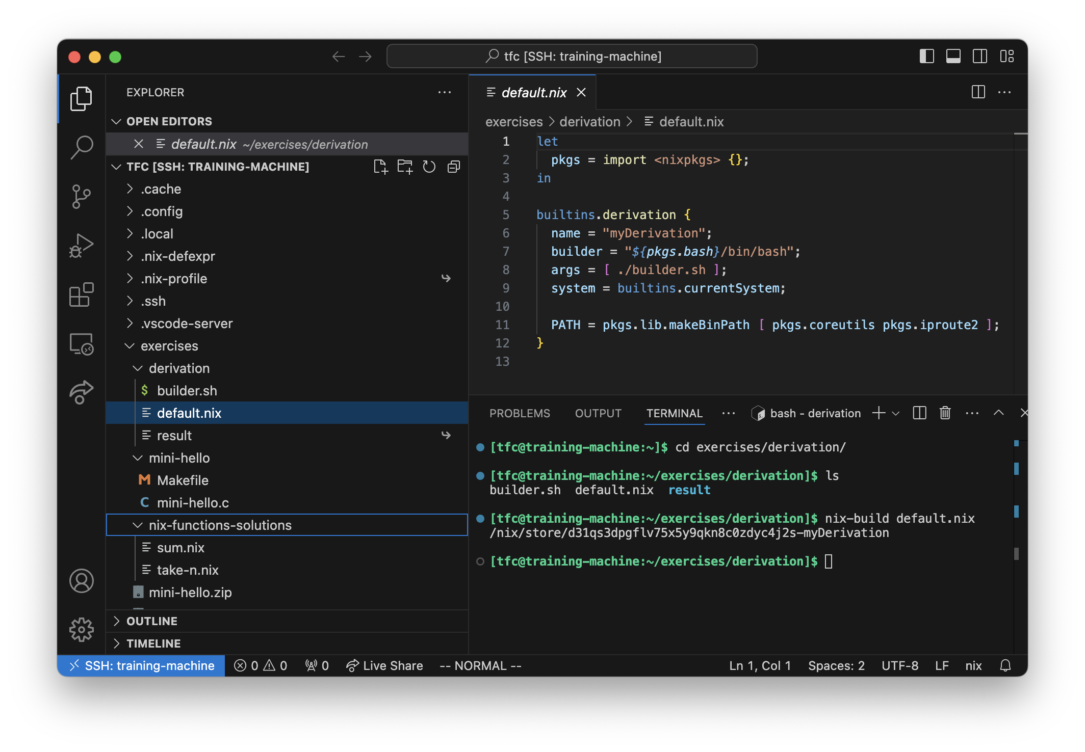 A working Visual Studio Code Remote Session